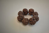 5 Mukhi Nepal Rudraksha Bracelet (18–20 mm) – X-Ray Certified Guru Beads for Balance & Protection