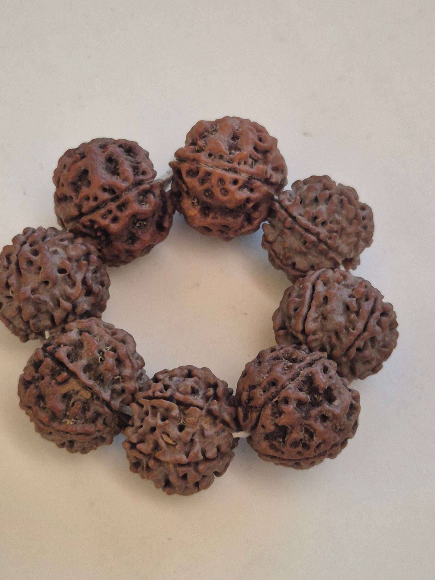 5 Mukhi Nepal Rudraksha Bracelet (18–20 mm) – X-Ray Certified Guru Beads for Balance & Protection