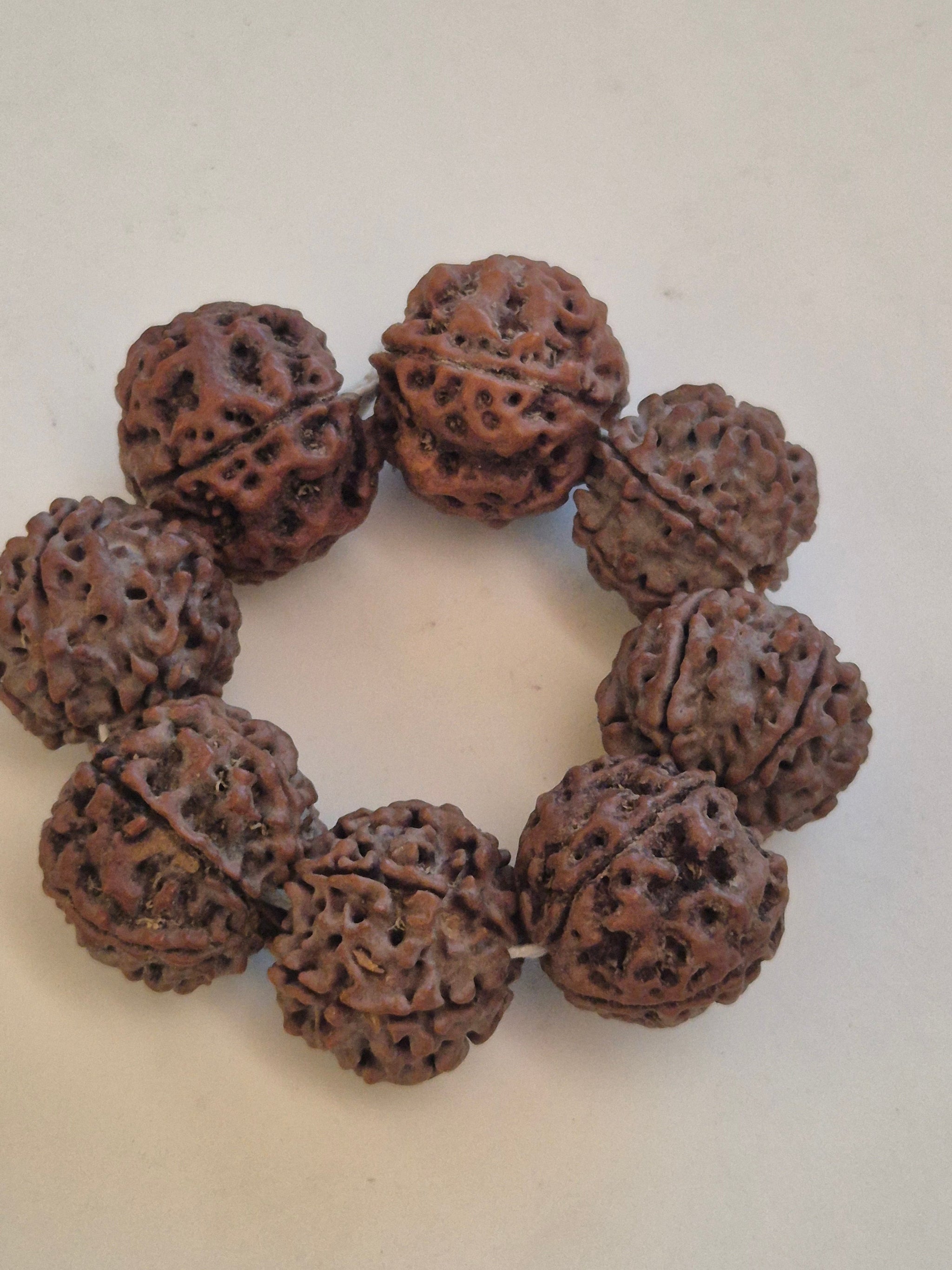 5 Mukhi Nepal Rudraksha Bracelet (18–20 mm) – X-Ray Certified Guru Beads for Balance & Protection