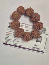 5 Mukhi Nepal Rudraksha Bracelet (18–20 mm) – X-Ray Certified Guru Beads for Balance & Protection