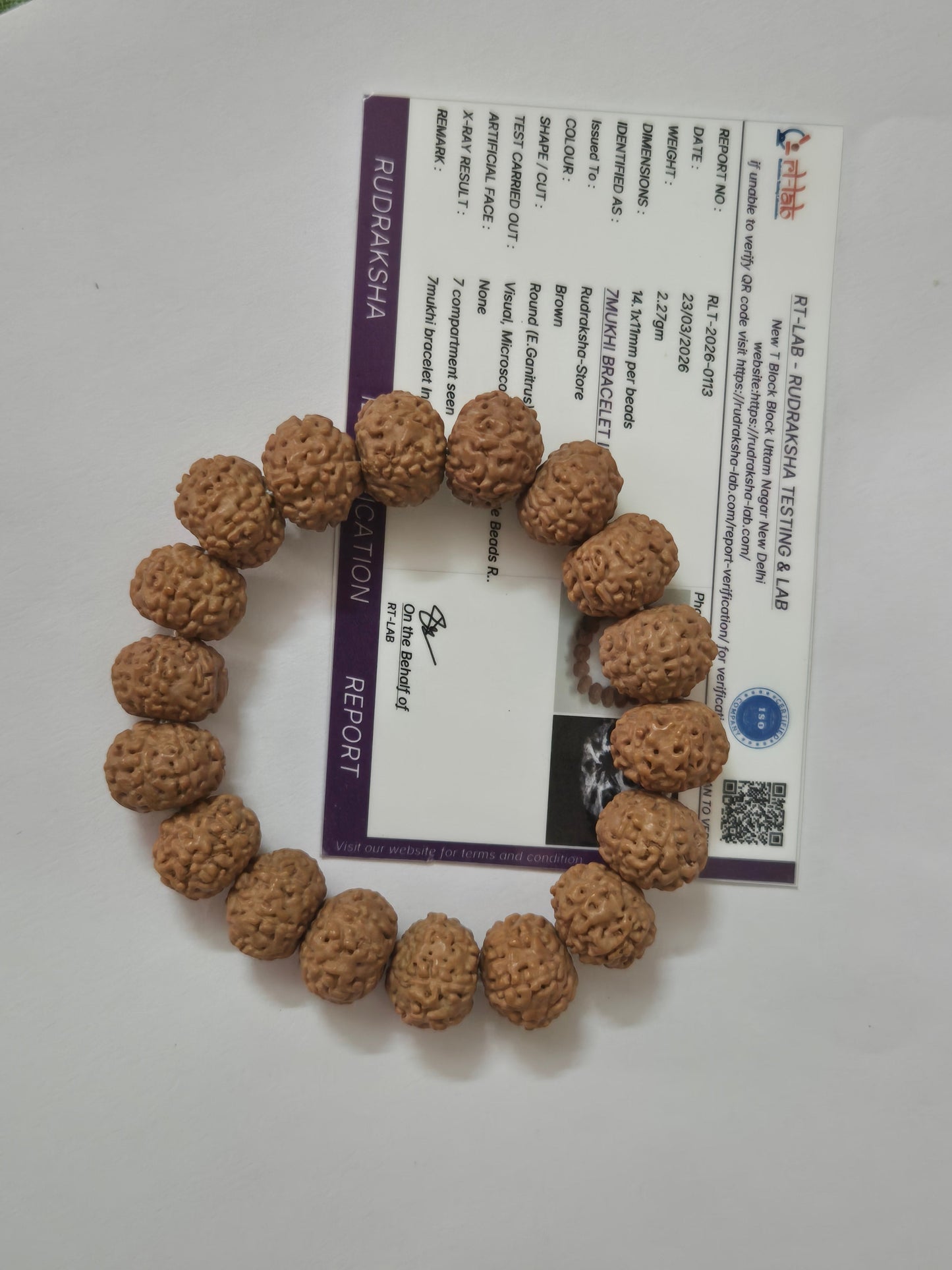 Indonesian 7 Mukhi Rudraksha Wealth Bracelet | 11–14mm | X-Ray Sample Certified
