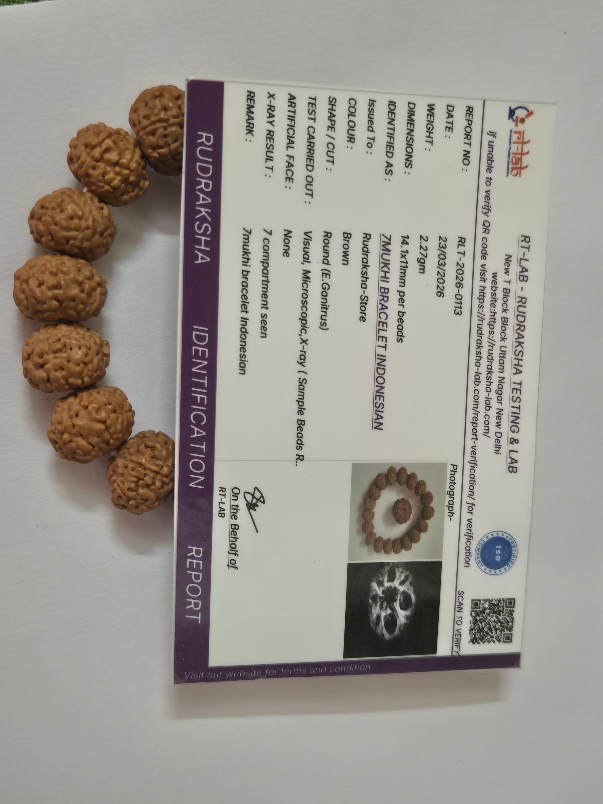 Indonesian 7 Mukhi Rudraksha Wealth Bracelet | 11–14mm | X-Ray Sample Certified