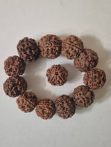 5 Mukhi Nepal Rudraksha Bracelet (18–20 mm) – X-Ray Certified Guru Beads for Balance & Protection