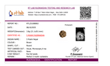 🕉️ 5 Mukhi Nepal Rudraksha – Sacred Bead of Lord Kalagni Rudra for Peace, Health & Protection