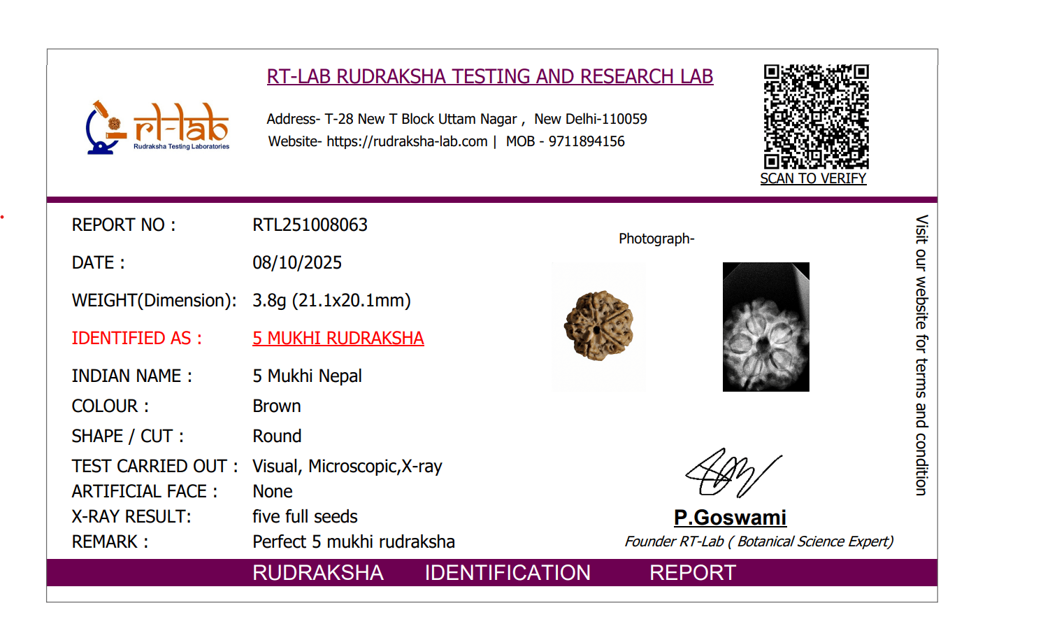 🕉️ 5 Mukhi Nepal Rudraksha – Sacred Bead of Lord Kalagni Rudra for Peace, Health & Protection