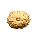 🕉️ 11 Mukhi Indonesian Rudraksha (Big Size with X-Ray) – Divine Power of Lord Hanuman for Courage, Wisdom & Protection
