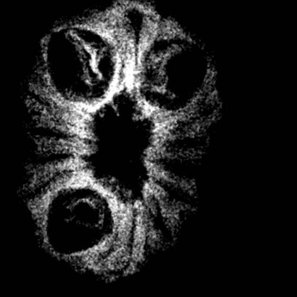 🕉️ 14 Mukhi Indonesian Rudraksha (12-15mm with X-Ray) – Supreme Protection of Lord Hanuman & Lord Shiva for Fearlessness & Success