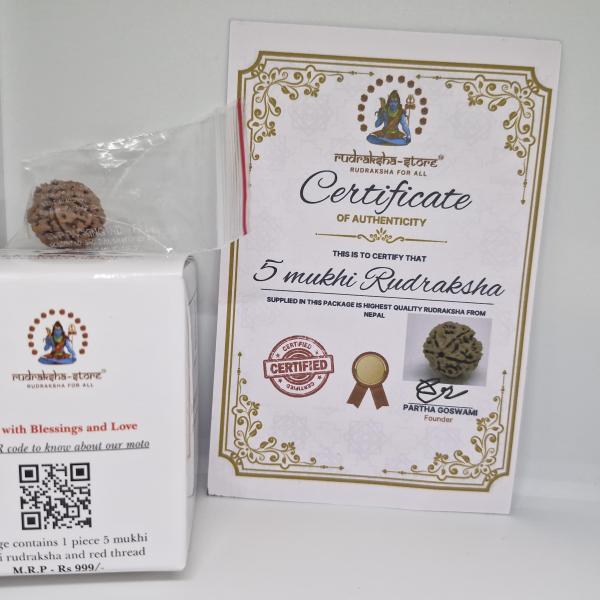 5 Mukhi Nepal Rudraksha Premium Quality