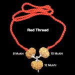Rudraksha Combination for Protection 8,10,12 Mukhi Nepal in Silver Pendant