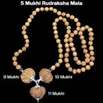 Rudraksha Combination for Total Protection 9,10,11 Mukhi Nepal in Rudraksha Mala
