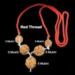 Rudraksha Combination for Health Power 3,3,5,5,5 Mukhi Nepal in Silver Pendant