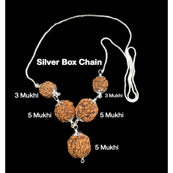 Health Power 3,3,5,5,5 Mukhi Nepal