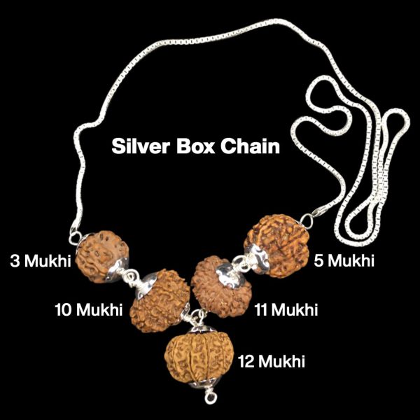 Rudraksha Combination for Navagraha Shanti 3,5,10,11,12 Mukhi Nepal in Silver Chain