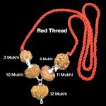 Rudraksha Combination for Navagraha Shanti 3,5,10,11,12 Mukhi Nepal in Silver Pendant