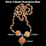 Rudraksha Combination for Students 4,4,6 Mukhi Nepal in Silver Mala