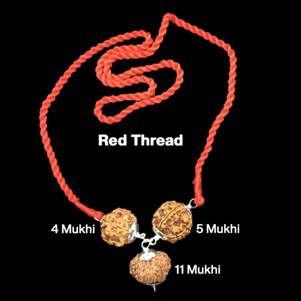 Rudraksha Combination for Hanuman Power 4,5,11 Mukhi Nepal in Silver Pendant