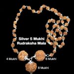Rudraksha Combination for Creativity 4,6,8 Mukhi Nepal in Silver Mala