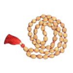 4 Mukhi Indonesian Rudraksha Mala 54 Beads (12mm-14mm)