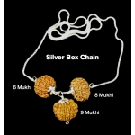 For Females in Business – 6, 8 & 9 Mukhi Rudraksha Combination (Nepal + Indonesian, Premium Thread Set)