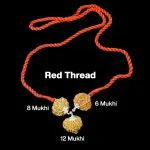 Rudraksha Combination for Business 6,8,12 Mukhi Nepal in Silver Pendant