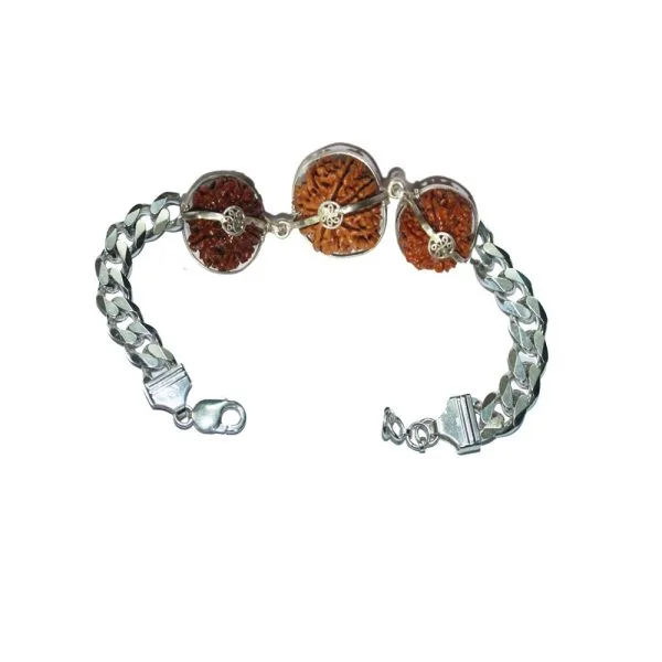 Rudraksha Combination for Students 4,4,6 Mukhi Nepal in Silver Bracelet