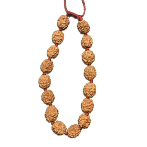 4 Mukhi Indonesian Thread Adjustable Bracelet