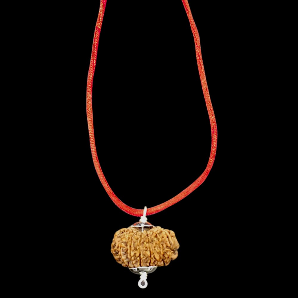 five-1000x1000-1.jpg 11 Mukhi Nepal Rudraksha In Pure Silver Pendant - Image 1