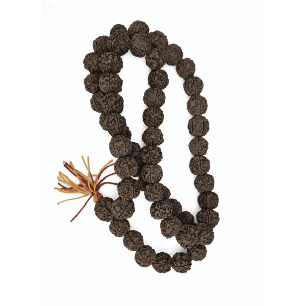 🕉️ 5 Mukhi Nepali Rudraksha Mala – 54 + 1 Beads (18–19 mm, Lab Certified & X-Ray Verified)