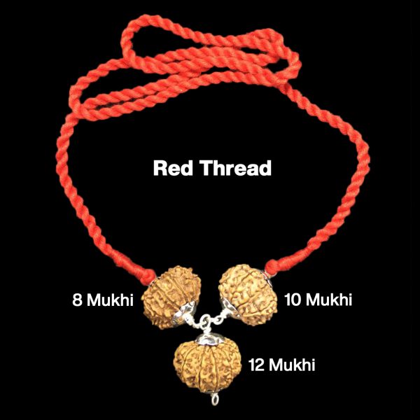 Rudraksha Combination for Protection 8,10,12 Mukhi Nepal in Silver Pendant