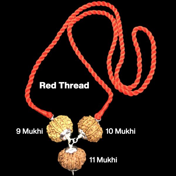 Rudraksha Combination for Total Protection 9,10,11 Mukhi Nepal in Silver Pendant