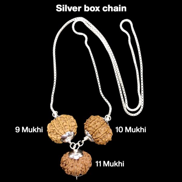 Rudraksha Combination for Total Protection 9,10,11 Mukhi Nepal in Silver Chain