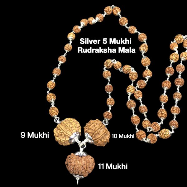 Rudraksha Combination for Total Protection 9,10,11 Mukhi Nepal in Silver Mala