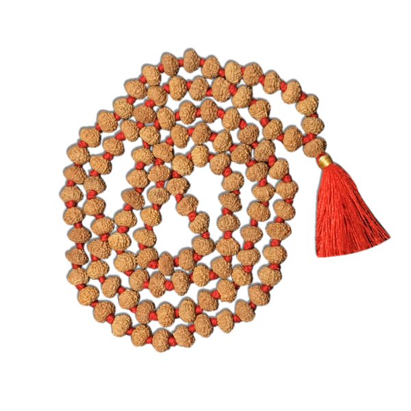 10 Mukhi Indonesian Rudraksha Mala 108 Beads (10mm-11mm)