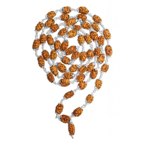 2 Mukhi Indonesian Rudraksha Mala 54 Beads In Silver (10mm-12mm)