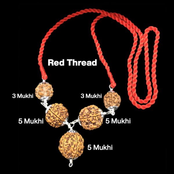 Rudraksha Combination for Health Power 3,3,5,5,5 Mukhi Nepal in Silver Pendant