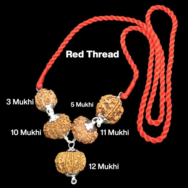 Rudraksha Combination for Navagraha Shanti 3,5,10,11,12 Mukhi Nepal in Silver Pendant