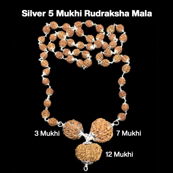 Rudraksha Combination for Career 3,7,12 Mukhi Nepal in Silver Mala