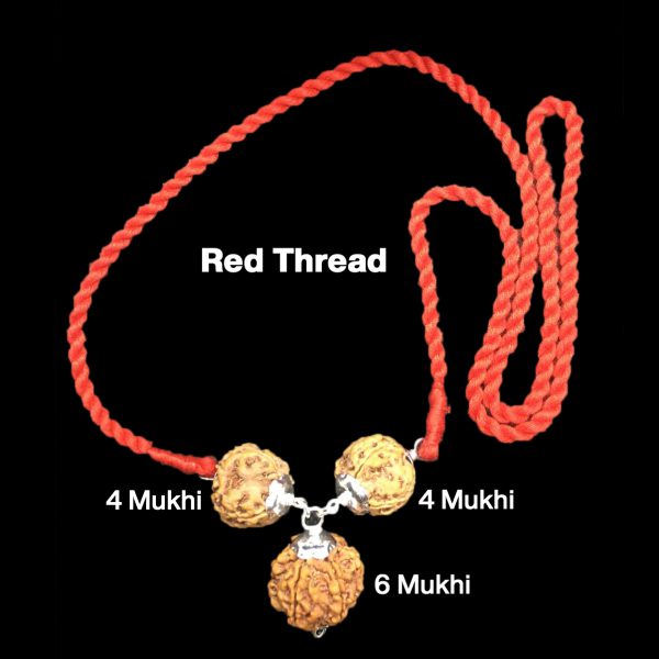 Rudraksha Combination for Students 4,4,6 Mukhi Nepal in Silver Pendant