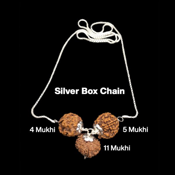 Rudraksha Combination for Wisdom 4,5,11 Mukhi Nepal in Silver Chain