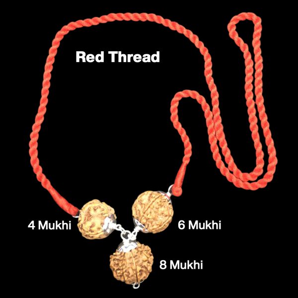 Rudraksha Combination for Creativity 4,6,8 Mukhi Nepal in Silver Pendant