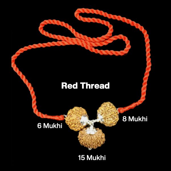 Rudraksha Combination for Business 6,8,15 Mukhi Nepal in Silver Pendant