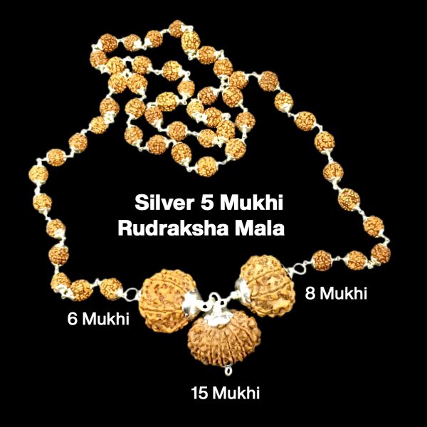 Rudraksha Combination for Business 6,8,15 Mukhi Nepal in Silver Mala