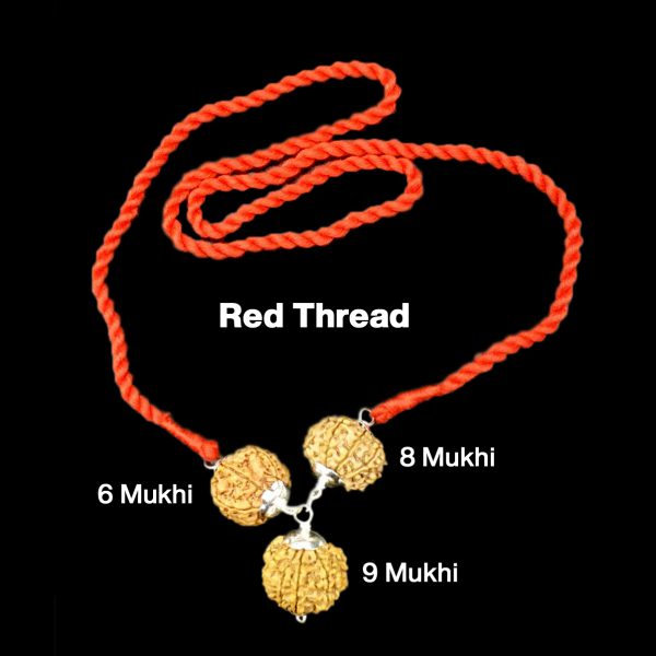 Rudraksha Combination for Females in Business 6,8,9 Mukhi Nepal in Silver Pendant