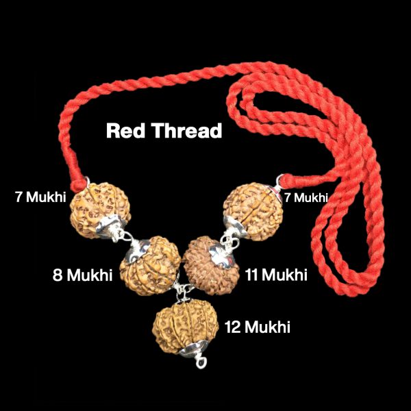 Rudraksha Combination for Business Power (Executives & Businessmen) 7,7,8,11,12 Mukhi Nepal in Silver Pendant