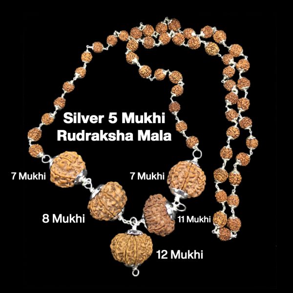 Rudraksha Combination for Business Power (Executives & Businessmen) 7,7,8,11,12 Mukhi Nepal in Silver Mala