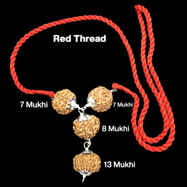 Rudraksha Combination for Business Power (Marketing & Trading) 7,7,8,13 Mukhi Nepal in Silver Pendant