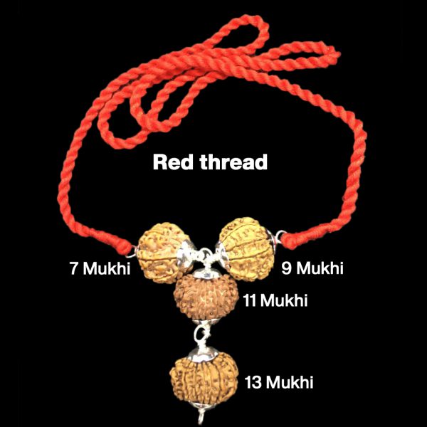 Rudraksha Combination for Wealth 7,9,11,13 Mukhi Nepal in Silver Pendant