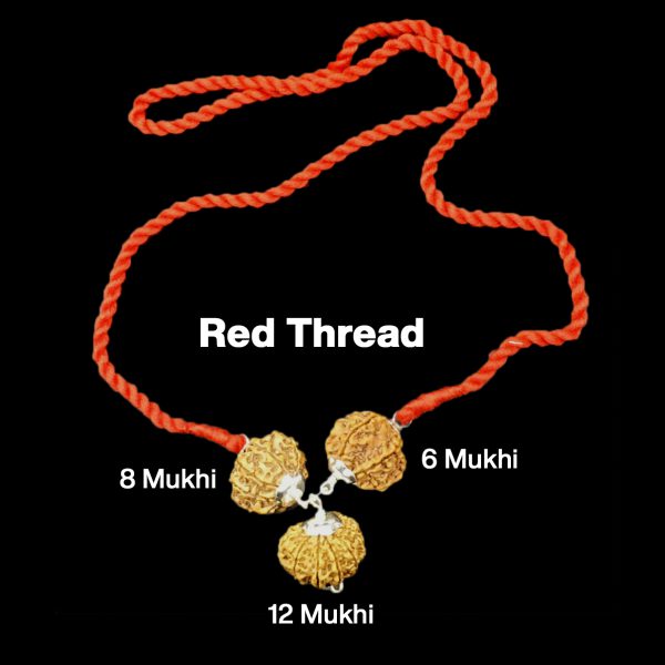 Rudraksha Combination for Business 6,8,12 Mukhi Nepal in Silver Pendant