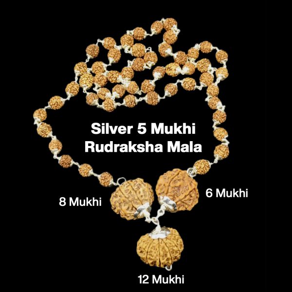 Rudraksha Combination for Business 6,8,12 Mukhi Nepal in Silver Mala