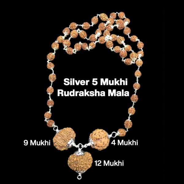 Rudraksha Combination for Doctors 4,9,12 Mukhi Nepal in Silver Mala